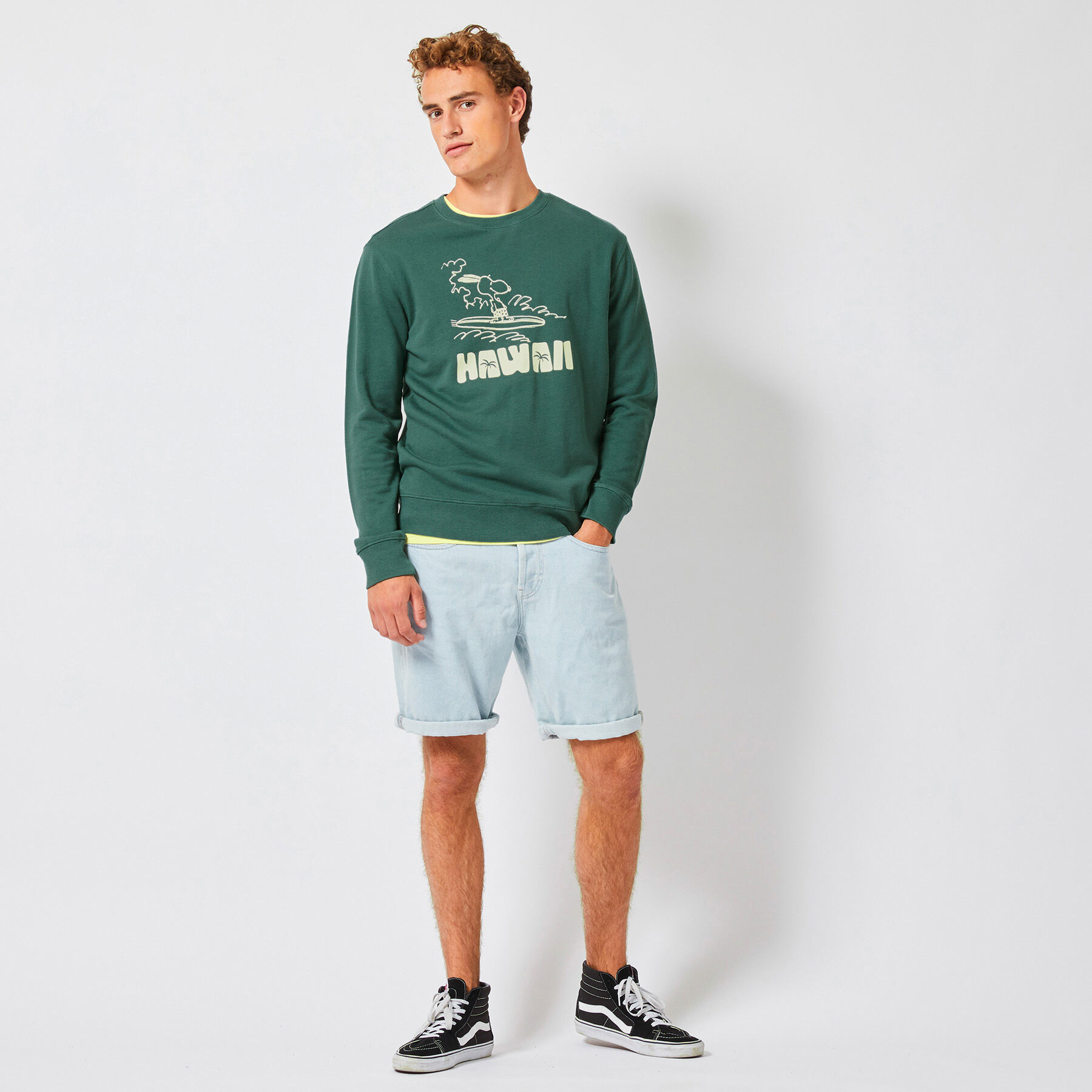 Men Sweater Salvin Hawaii Green Buy Online